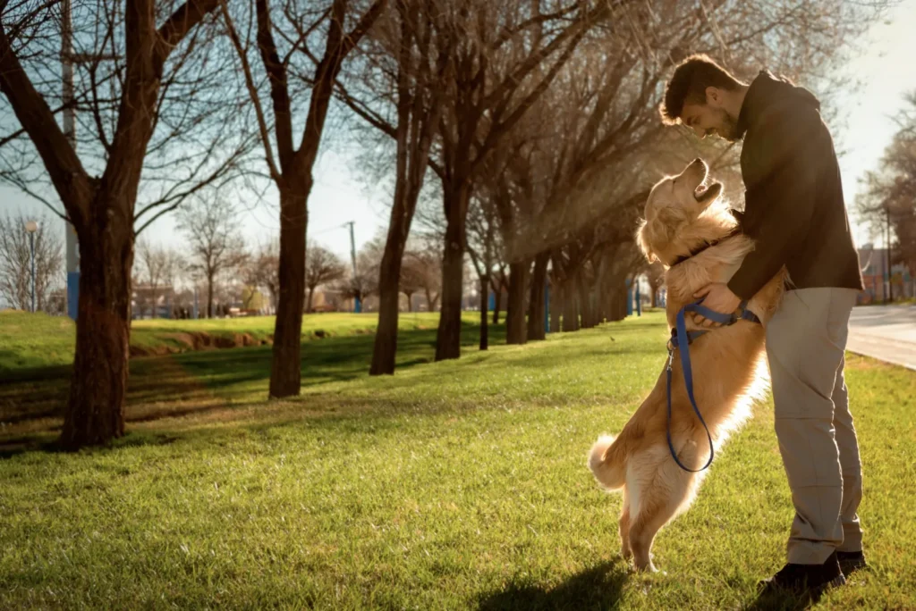 golden retriever hugging male owner