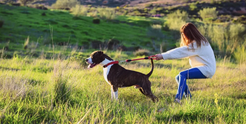 dog pulling on leash held by women in field