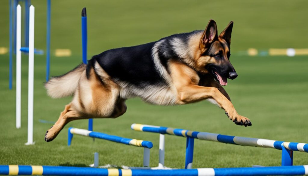 German Shepherd Training